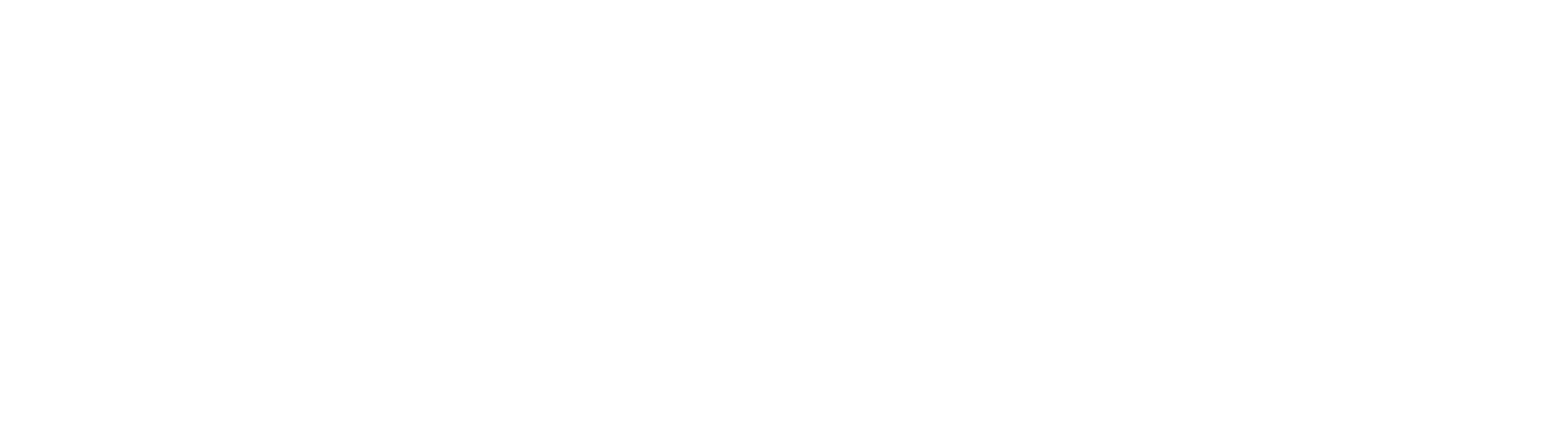 LightSpeed Consulting